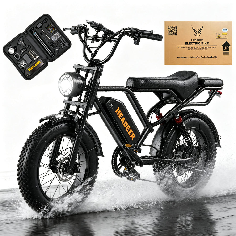 HEADEER® BK20 Fat Tire Retro Commuter E-Bike