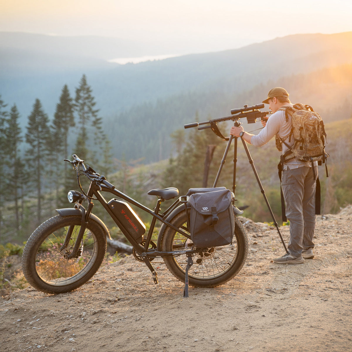 Mountain Fat Tire Electric Bike