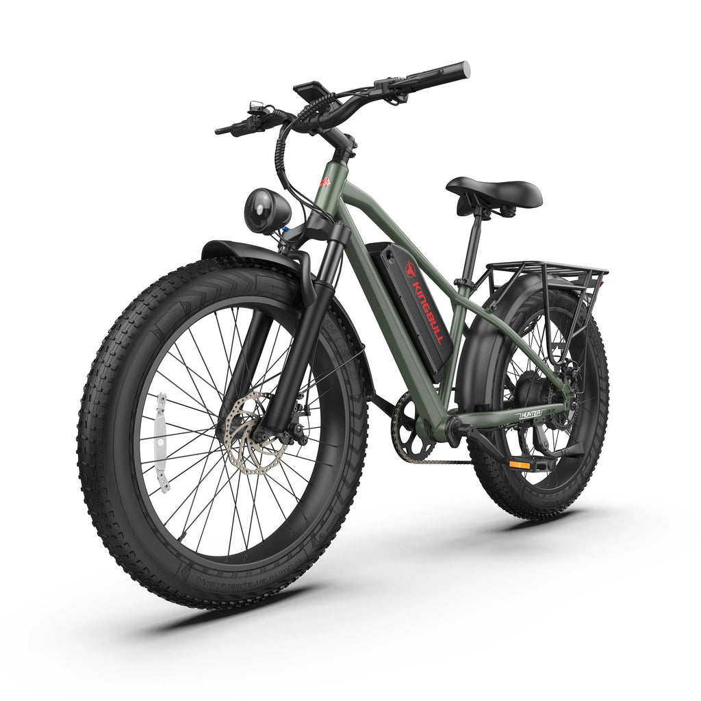 Mountain Fat Tire Electric Bike