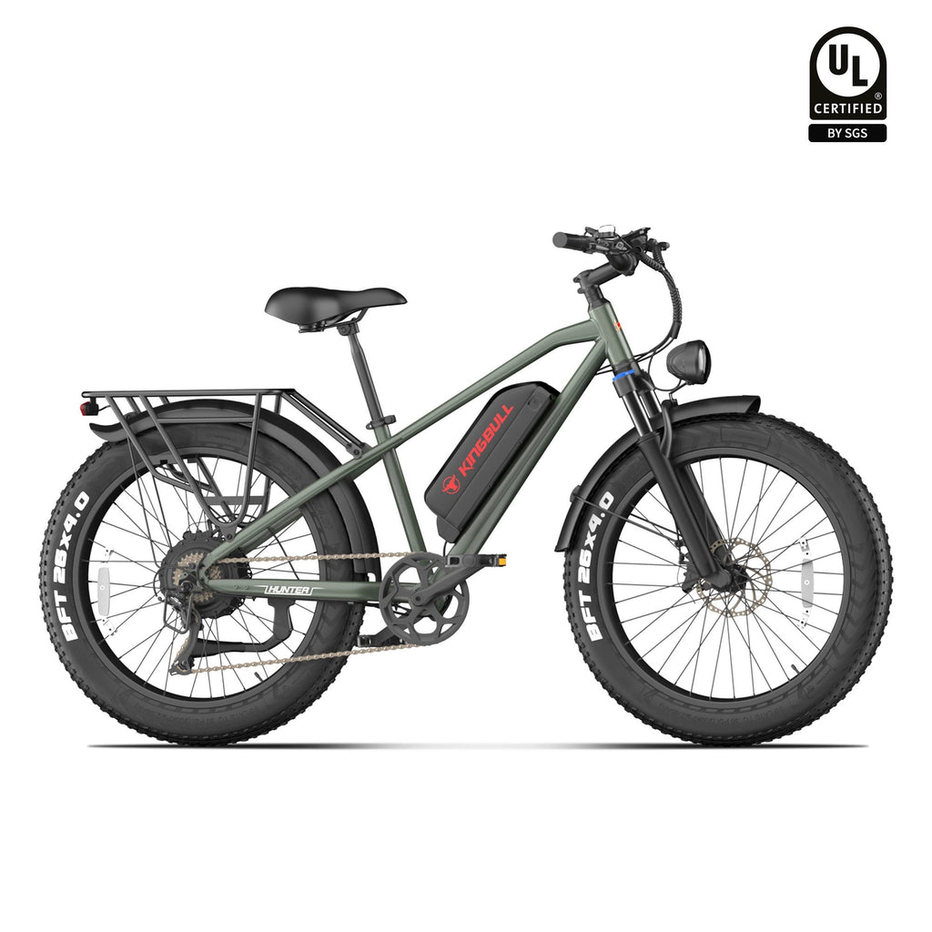 Mountain Fat Tire Electric Bike