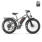 Mountain Fat Tire Electric Bike