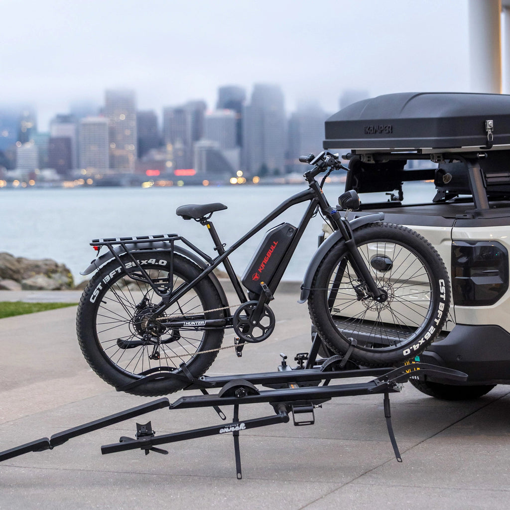 Mountain Fat Tire Electric Bike