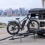 Mountain Fat Tire Electric Bike