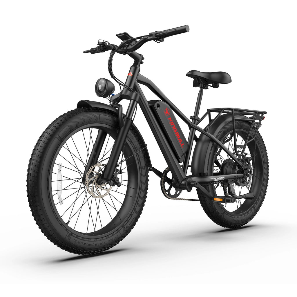 Mountain Fat Tire Electric Bike