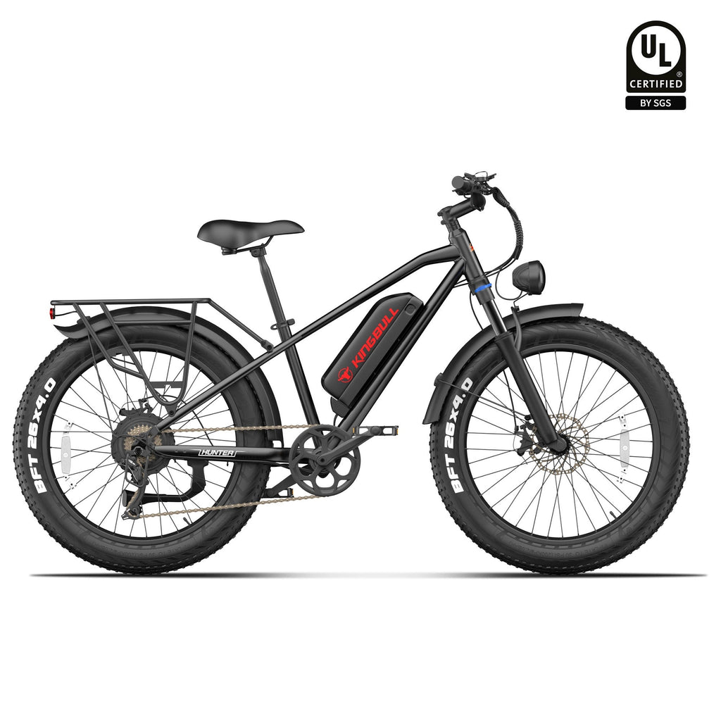 Mountain Fat Tire Electric Bike