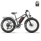 Mountain Fat Tire Electric Bike