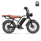 Vintage Off-Road Electric Bike