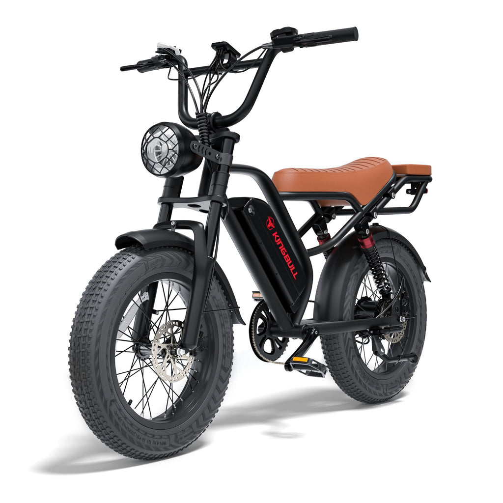 Vintage Off-Road Electric Bike