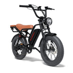 Vintage Off-Road Electric Bike